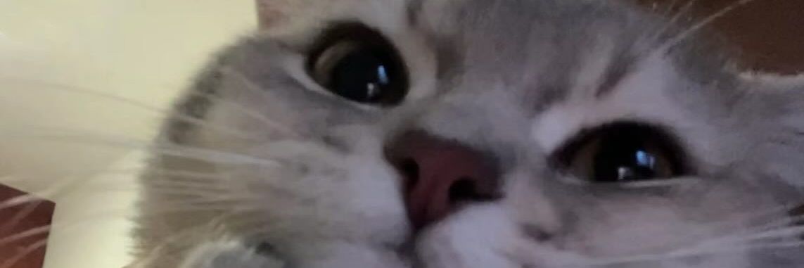 booblebee_'s profile banner image