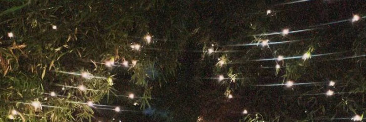 Kitty_Cat1998's profile banner image