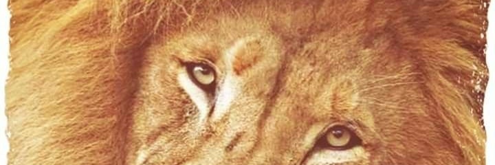 vicomiguels's profile banner image