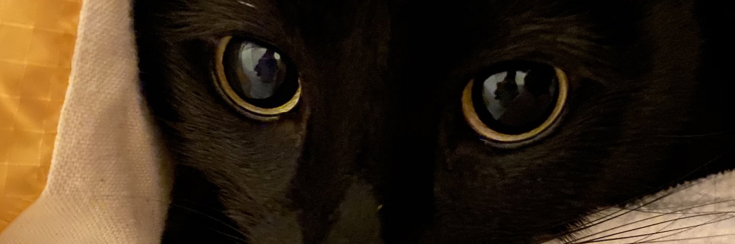 ETStrickland's profile banner image