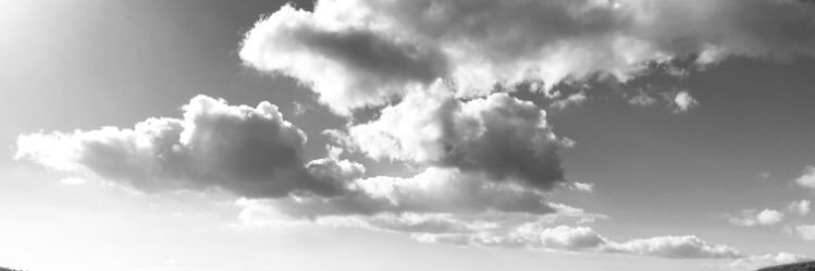 Tim Gilbert / Fields of Few banner