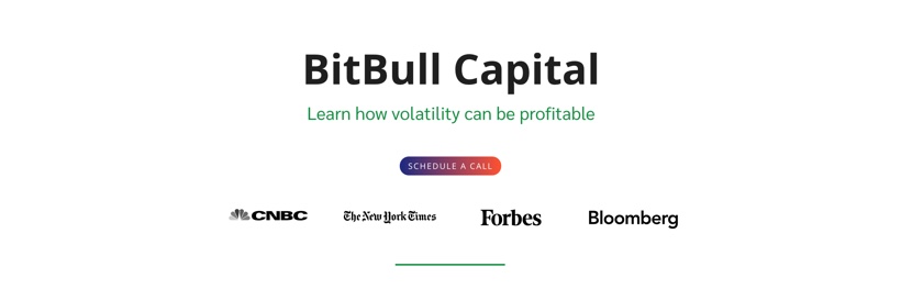 BitBull Capital banner