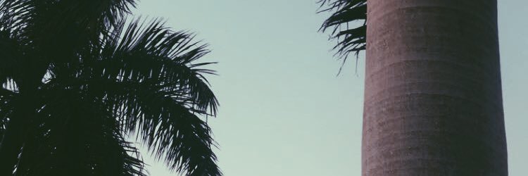 katiesioen's profile banner image
