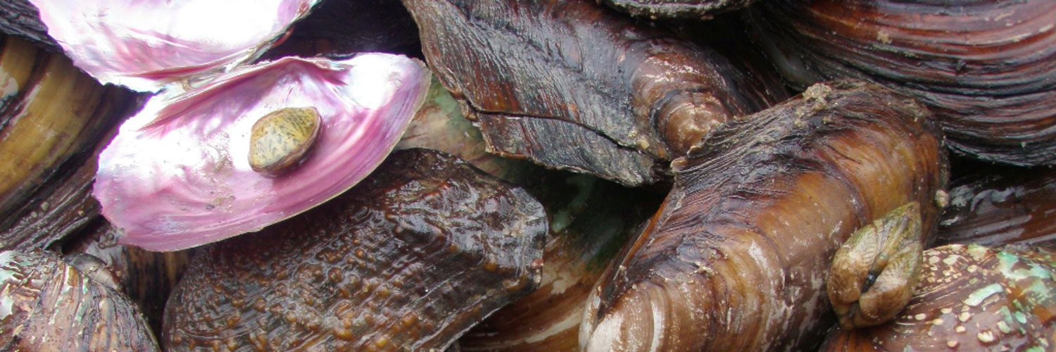 Freshwater Mollusk Conservation Society Profile Banner