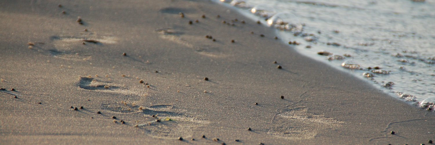 RainerBS's profile banner image