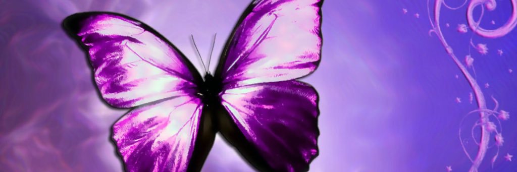 CeciGutierrez06's profile banner image