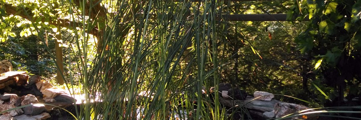 FaithNationHQ's profile banner image