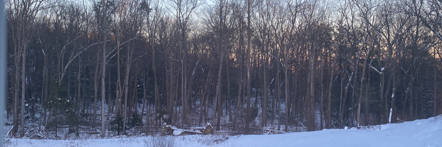 bgpeltier's profile banner image