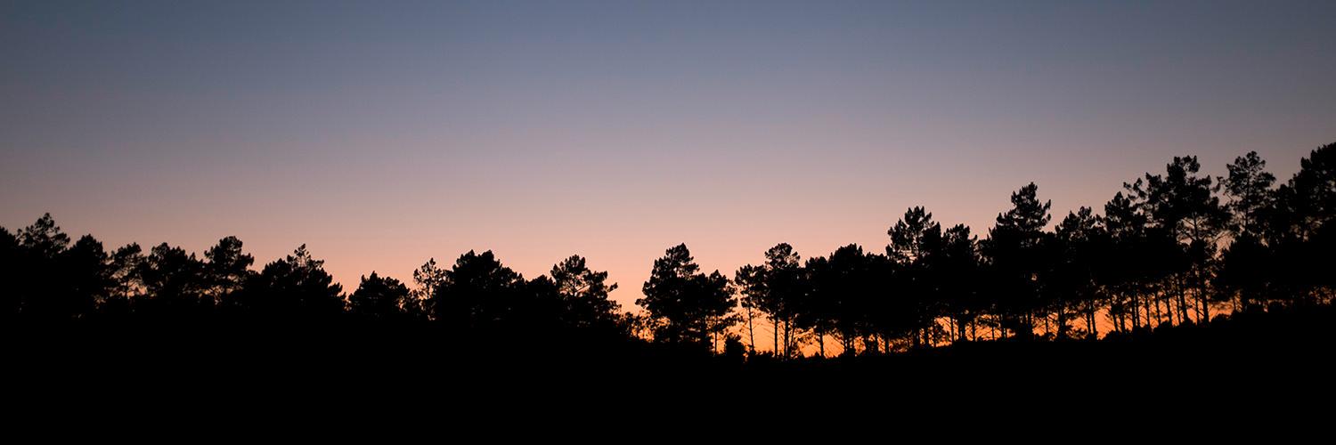 Simon Lambert banner