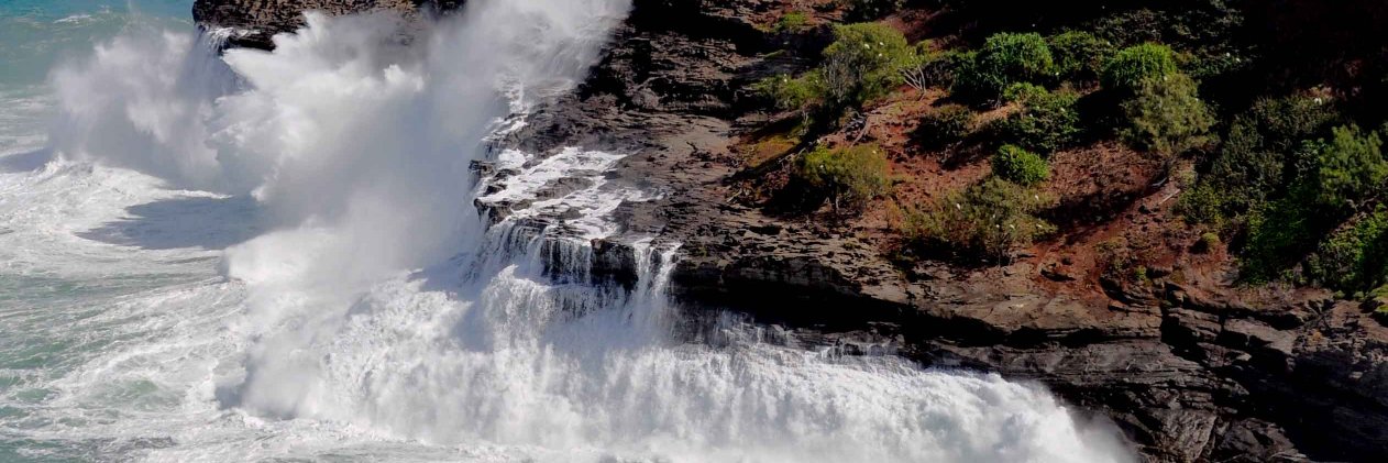 Pete Vander Meulen banner