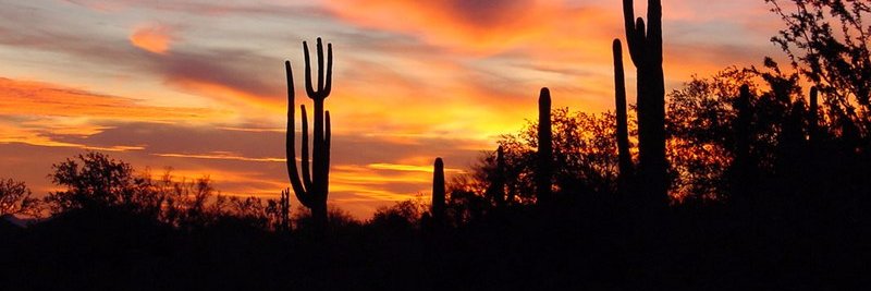 Steve Frantzis banner