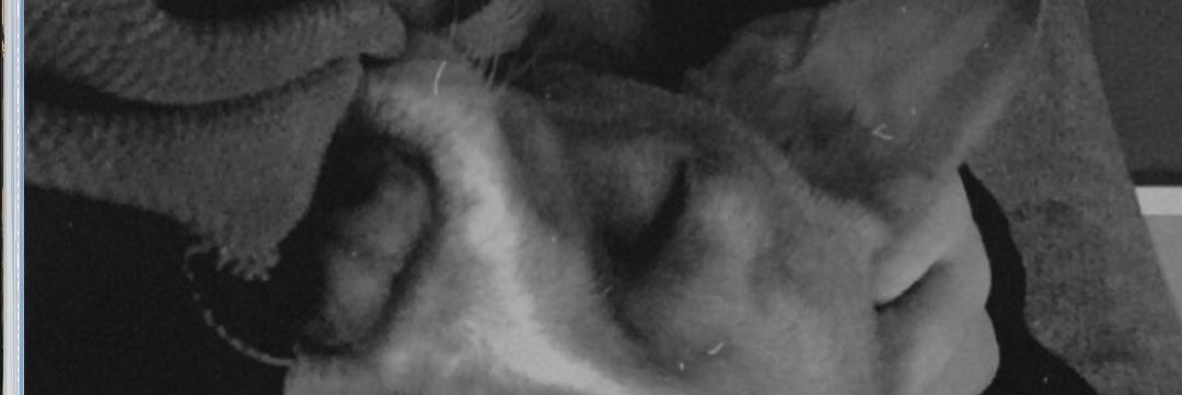 Guilli0704's profile banner image