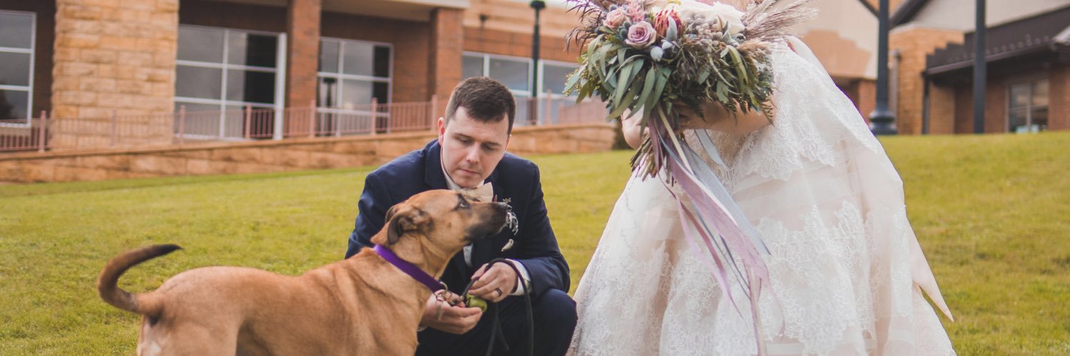 AlexisLexy396's profile banner image