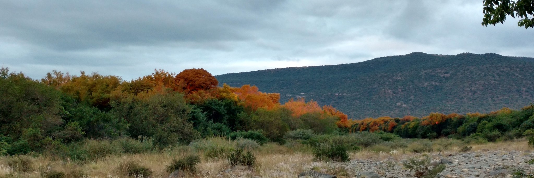 Adwait Deshpande  banner
