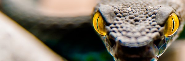 Minutes2DieDoc Profile Banner