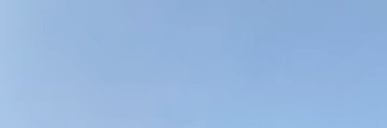 _rinsoo's profile banner image