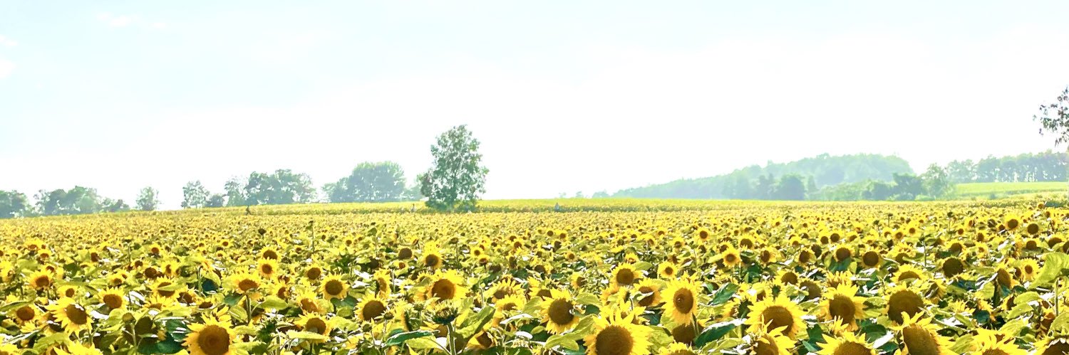 with_am24's profile banner image