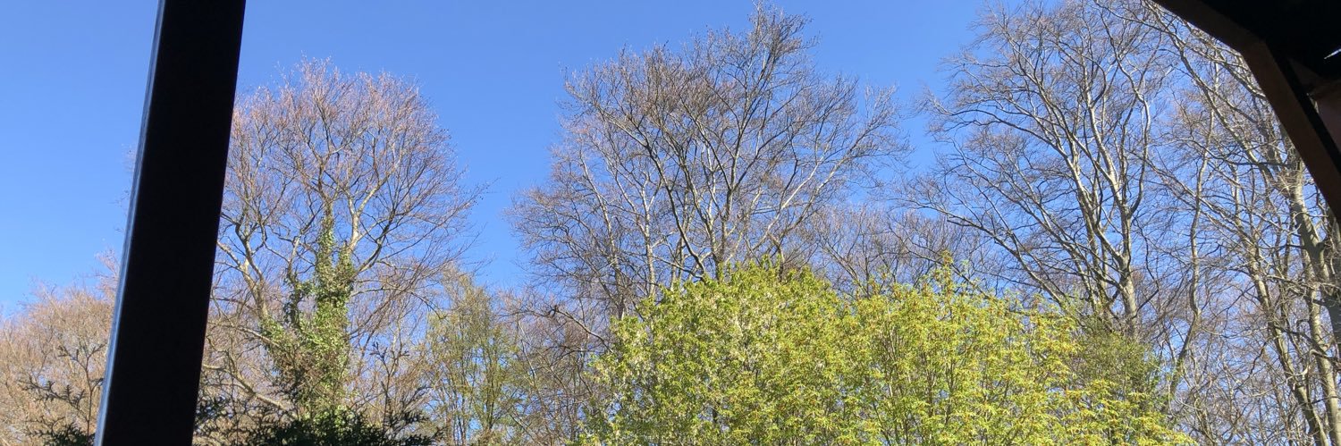 NataschaGrieger's profile banner image