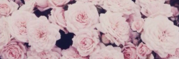 alexs1992's profile banner image