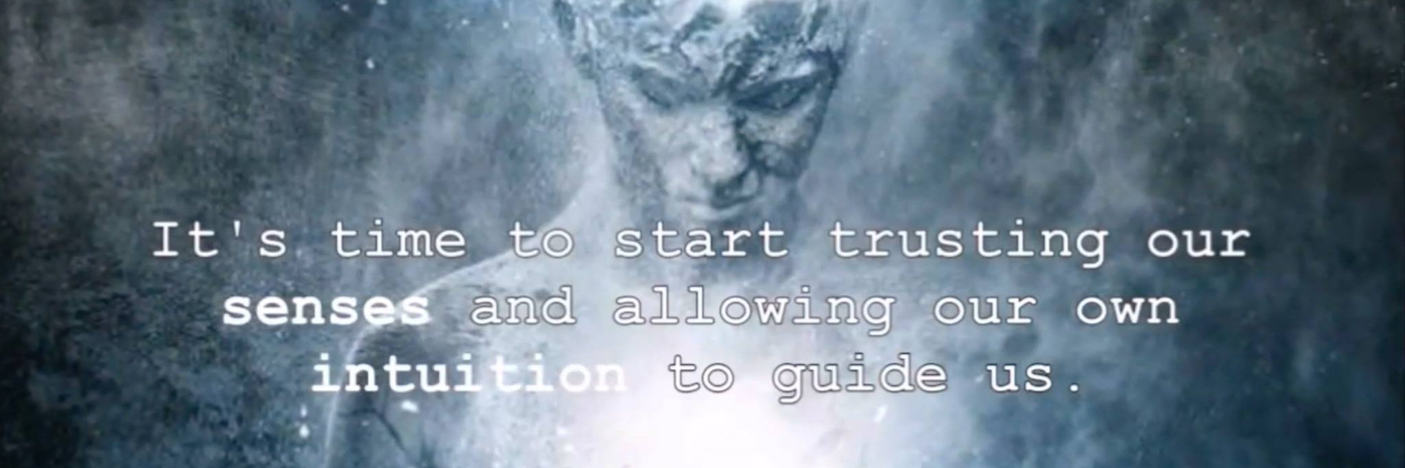 Peter Langelaar banner