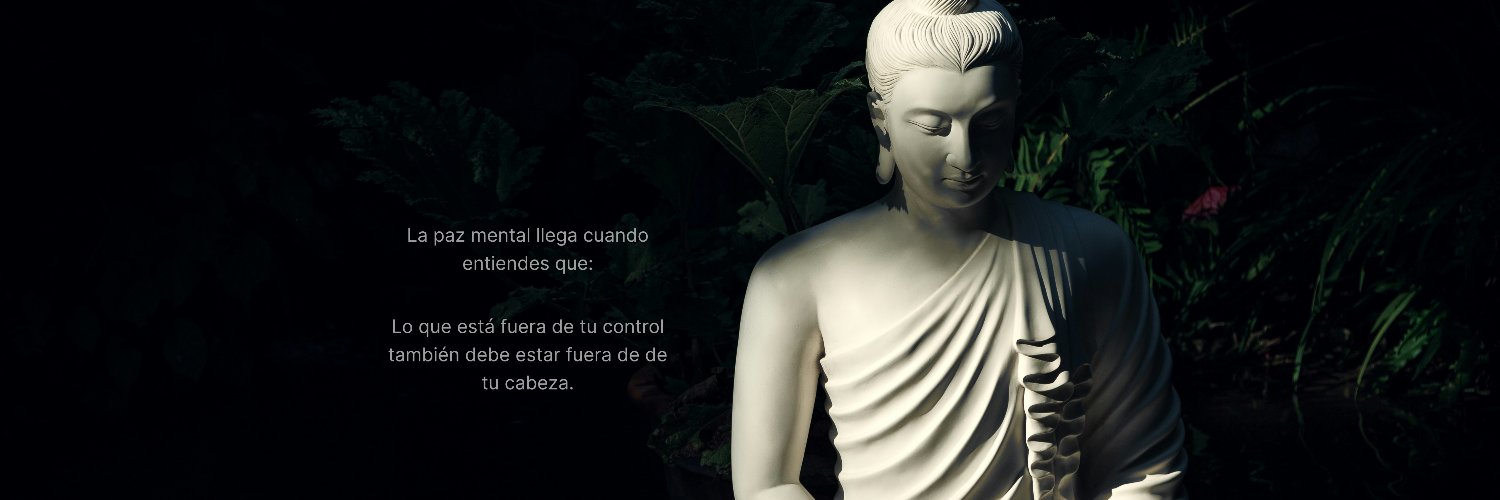 ✺ Roberto Alexandru banner