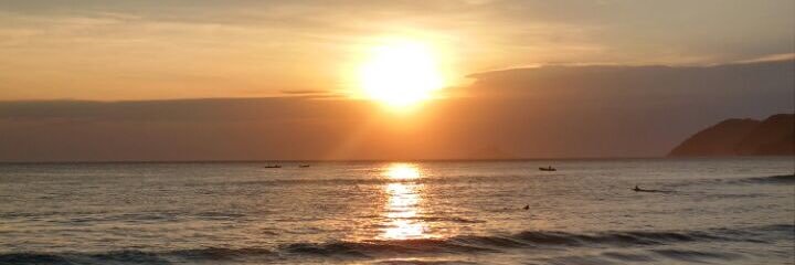 Débora Vendramini-Costa, Ph.D banner