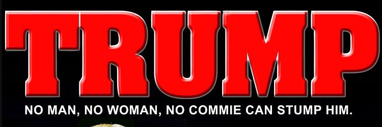 LibtardsUndoing's profile banner image