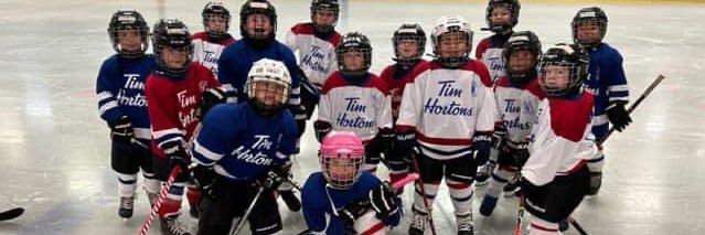 Elmvale Minor Hockey banner