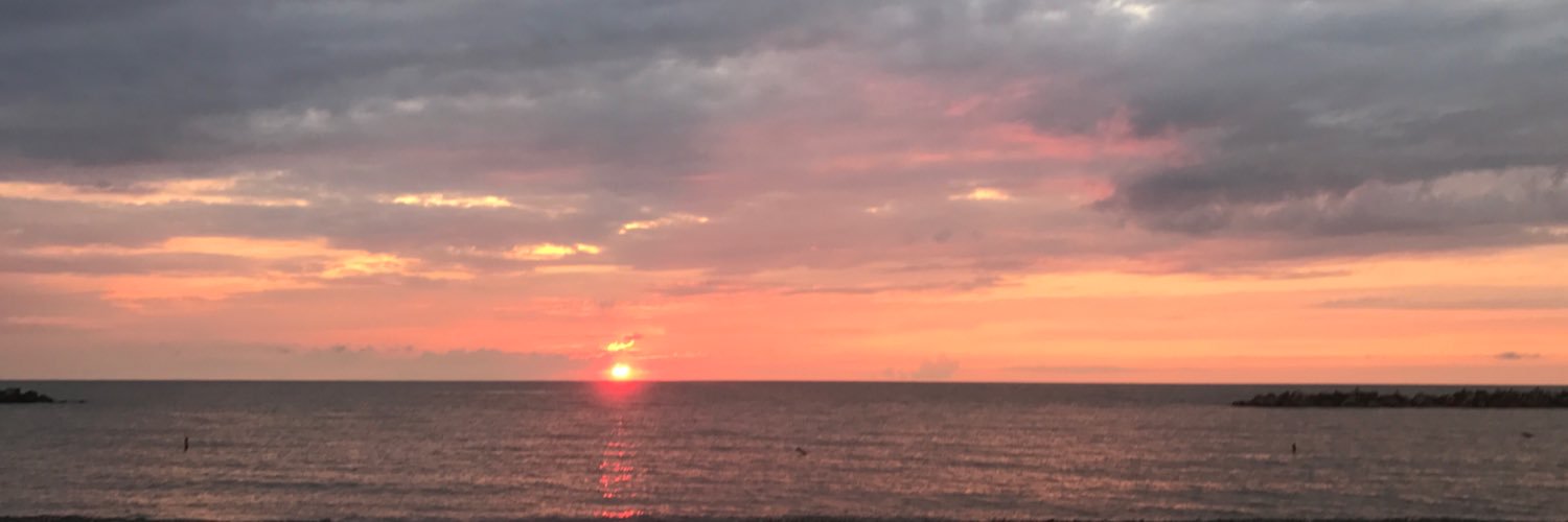 Alexis Anderson banner