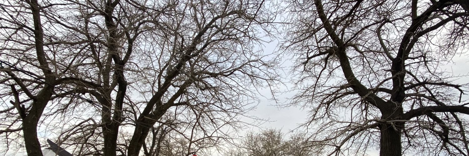 karblthatice's profile banner image