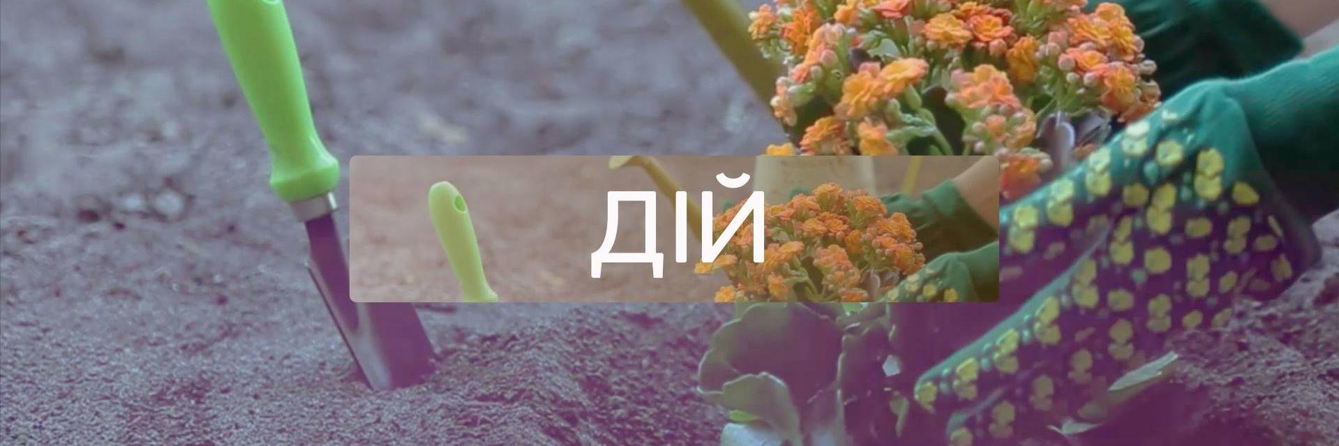 omelalala's profile banner image