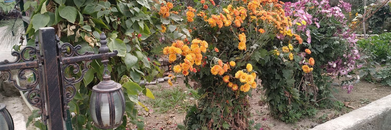 Elephant Tweets 🐘 banner