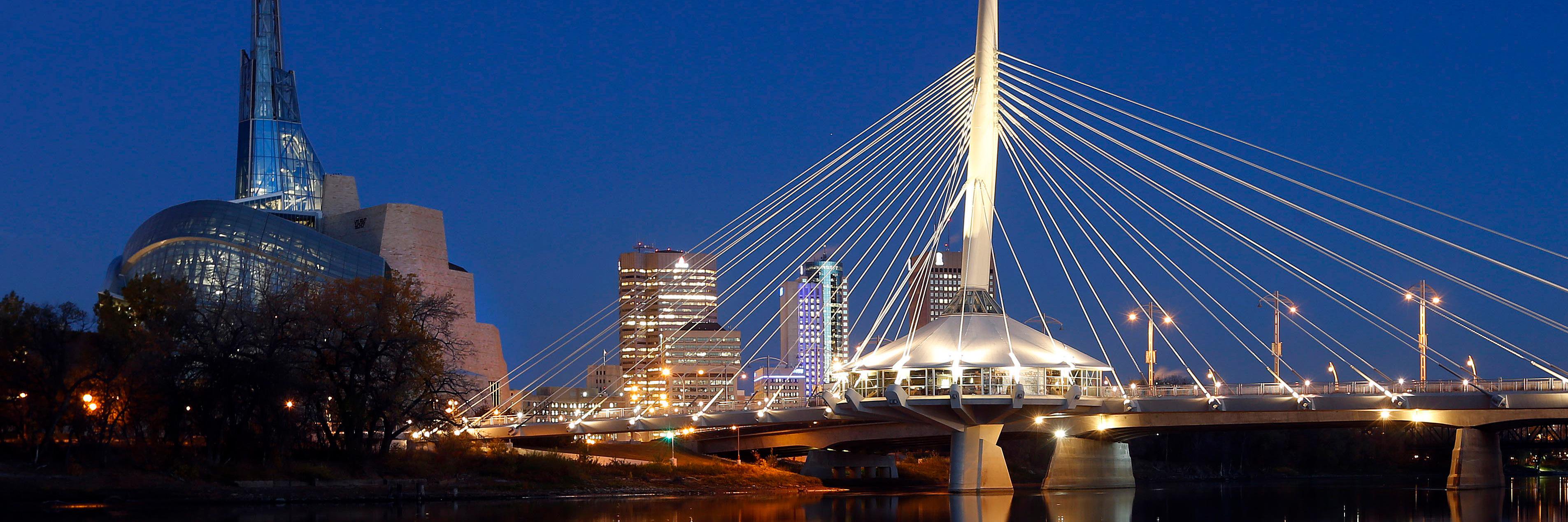 The Freeskate banner