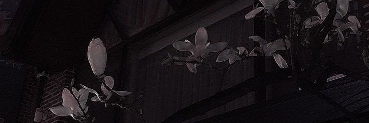 key_so__'s profile banner image