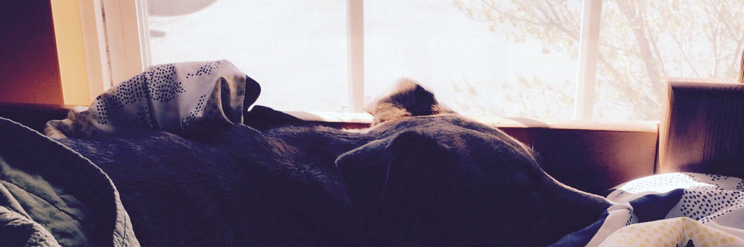 yesojj__'s profile banner image