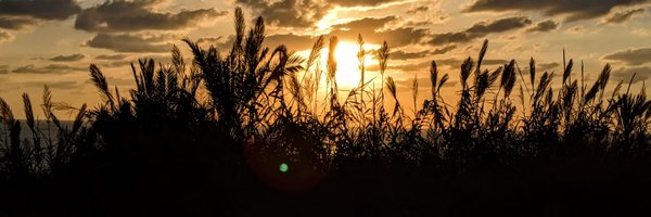 ibrahimelmikati Profile Banner