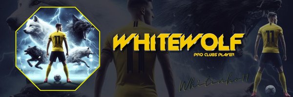 XxWhiteWolf11 Profile Banner