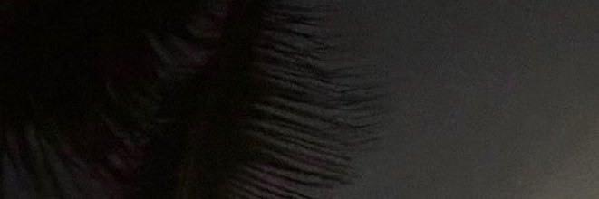farramalo's profile banner image