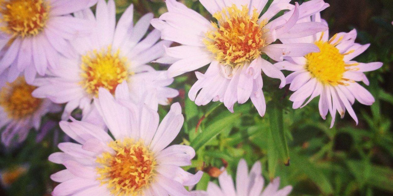 EmmaSDW's profile banner image