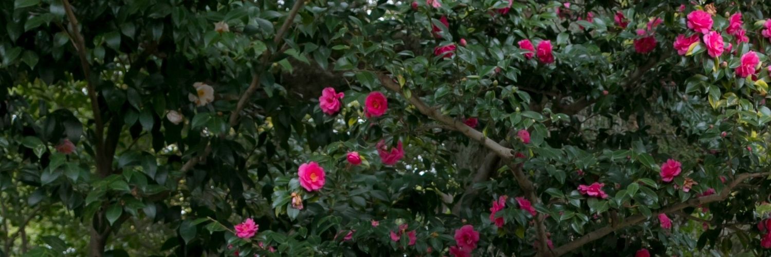 405kinako's profile banner image