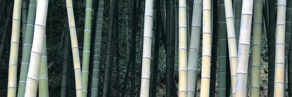 ZhipeiSun Profile Banner