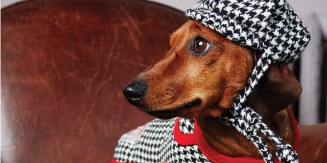 MurphsMa1's profile banner image
