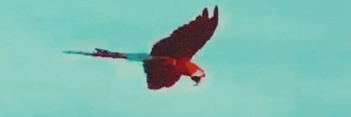 tomypulbett's profile banner image