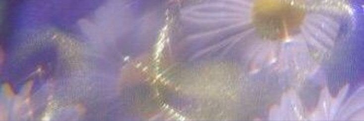 parfaitblu's profile banner image