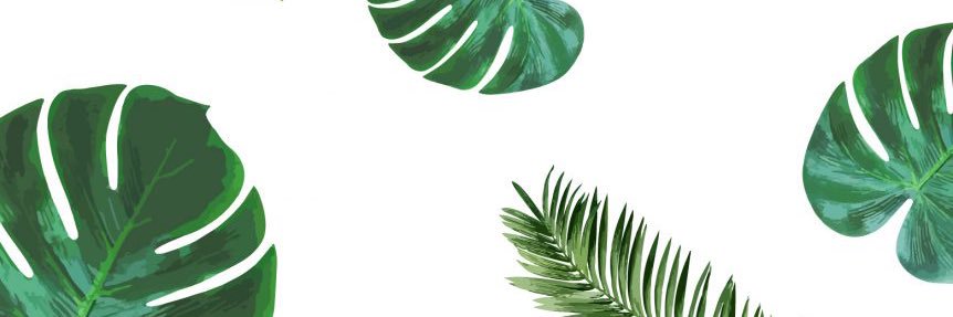 Anush_HH's profile banner image