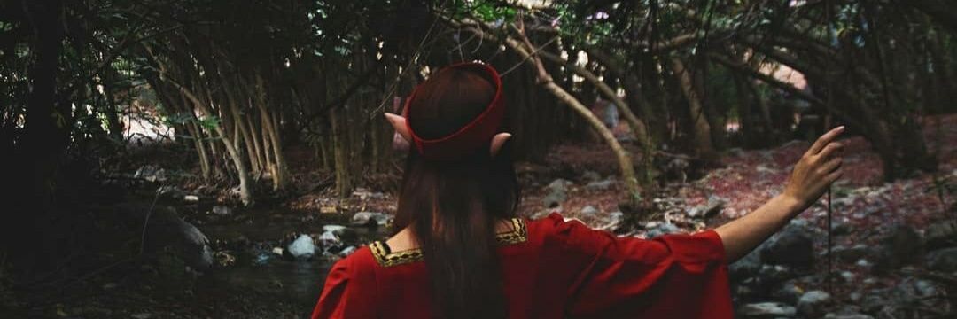 LauBaumar's profile banner image