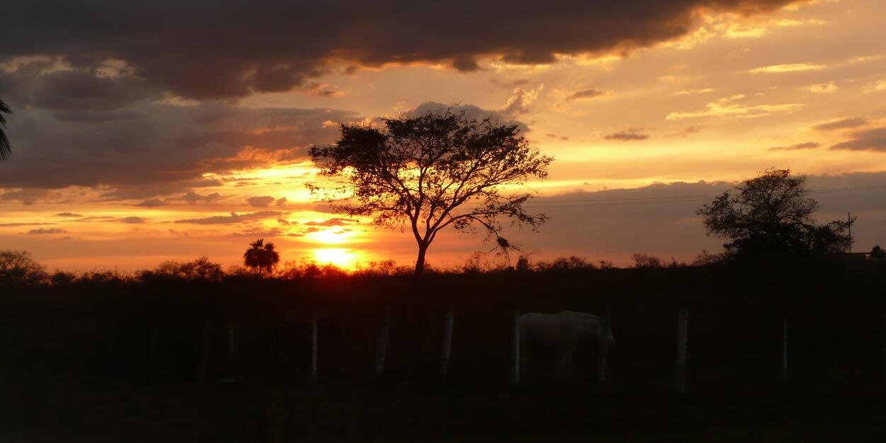 OrcaChong's profile banner image