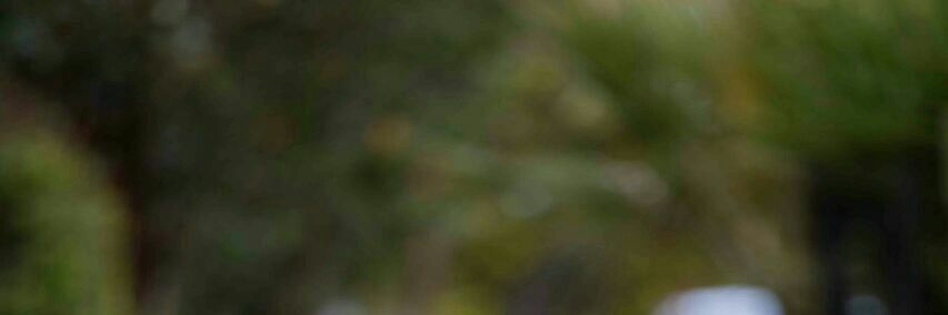 Becky Arunga banner