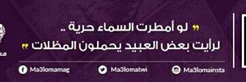 ElfaiqueZakaria's profile banner image