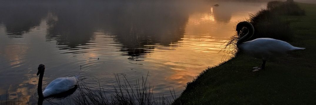 BrookCityFC's profile banner image